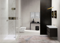 NORM-100X50-Washbasin-GSI-ceramica-516521-rel780dcfe4.jpg thumb image